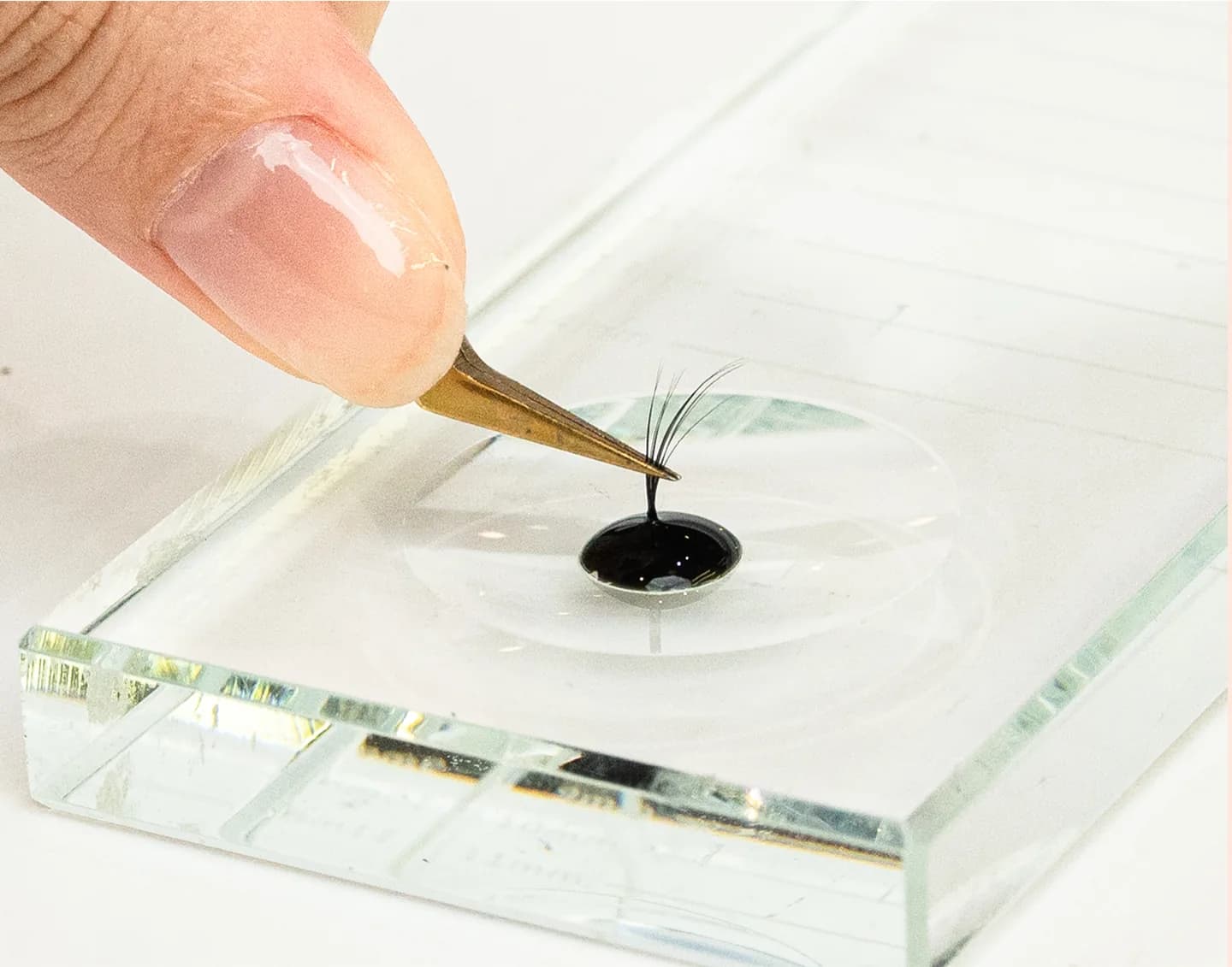 A lash fan being dipped in professional-grade adhesive